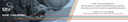 SBV logo